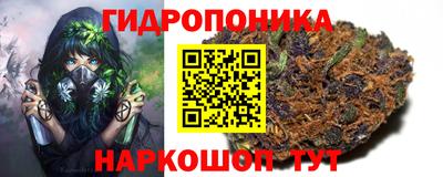 ПСИЛОЦИБИНОВЫЕ ГРИБЫ Балахна
