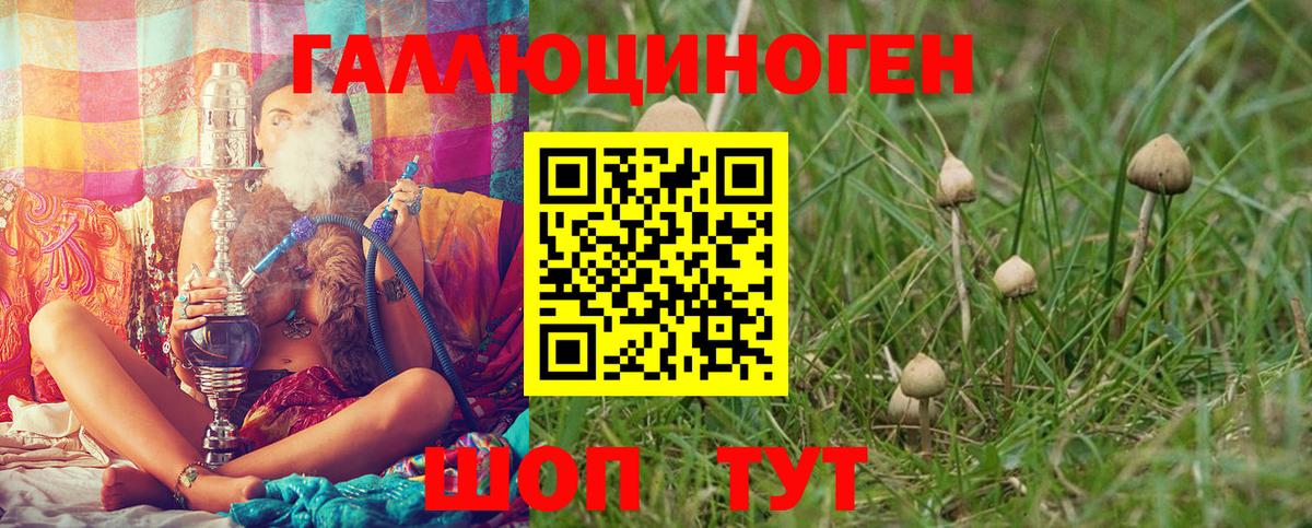 Галлюциногенные грибы мухоморы  Вход с VPN  где можно купить   Ефремов 